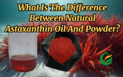قدرتی Astaxanthin تیل اور پاؤڈر کے درمیان کیا فرق ہے؟