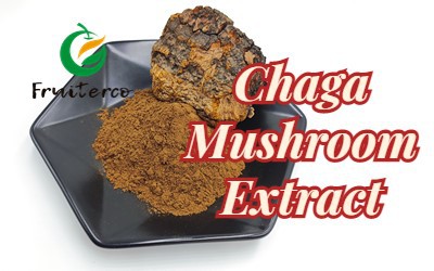 Chaga.jpg Chaga.jpg